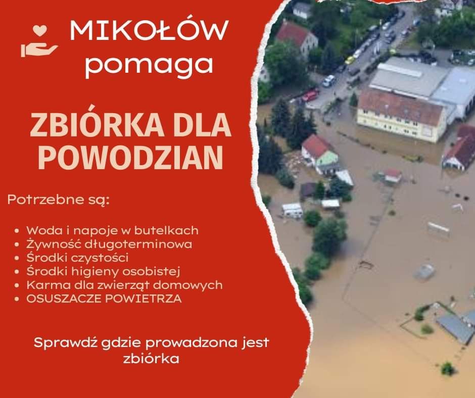 zdjęcie kijów hokejowych